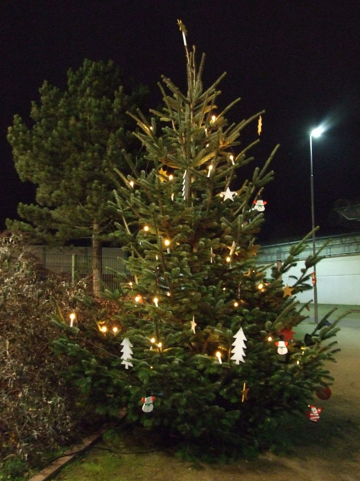 Foto: Weihnachtsbaum in der JVA Uelzen